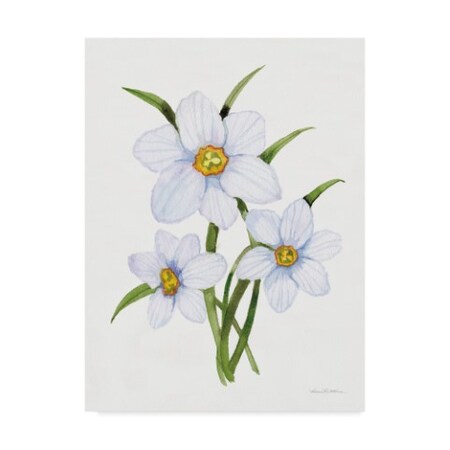 Trademark Fine Art Kathleen Parr Mckenna 'Easter Blessing Flowers I' Canvas Art, 35x47 WAP09867-C3547GG